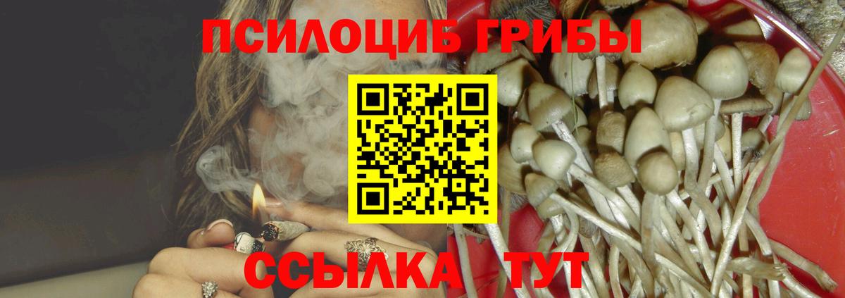 Галлюциногенные грибы MAGIC MUSHROOMS Фрязино